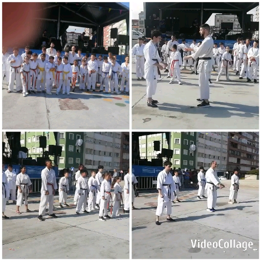 Martial Arts Practicing Outdoors