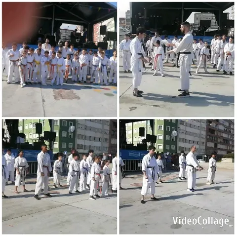 Martial Arts Practicing Outdoors