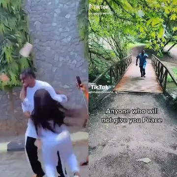 Social Interaction and Peaceful Park Walk