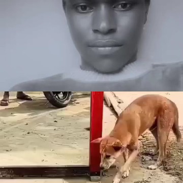 Black and White Portrait and Dog