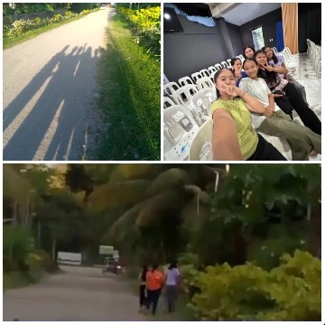 Shadows on a Green Road
