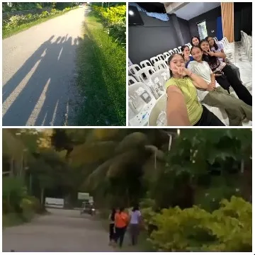 Shadows on a Green Road