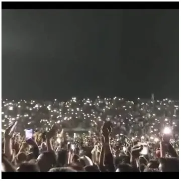 Crowd at Night Concert