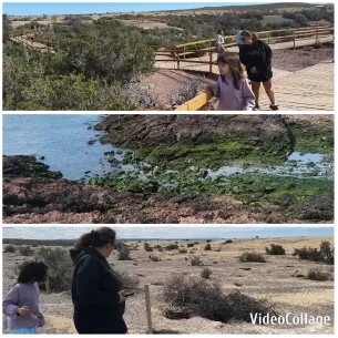 Walking in Natural Settings