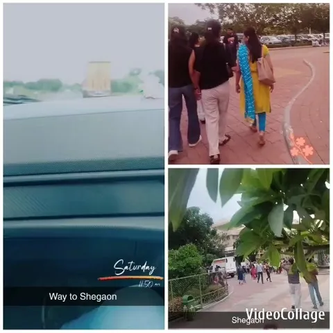 Walking in the Park