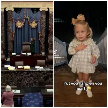 Legislative Chamber and Night Girl