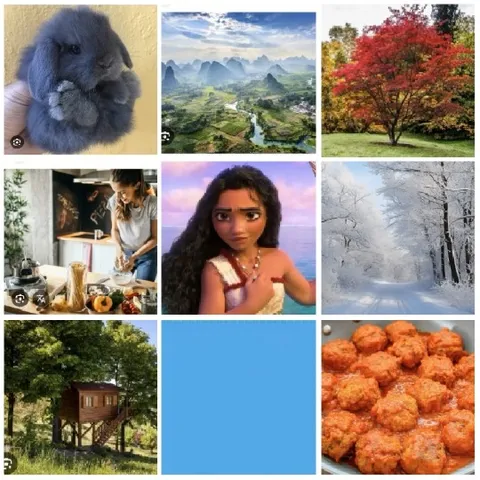 Various Images of Nature and Activities