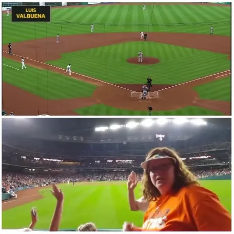 Baseball Game and Spectators Reaction