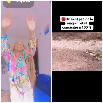Colorful Outfit and Crocodile Scene