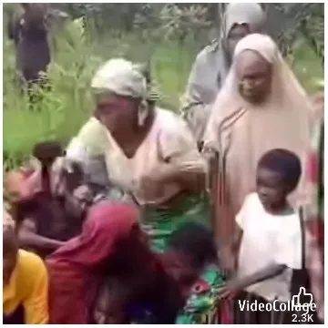 Community Gathering In Outdoor Setting