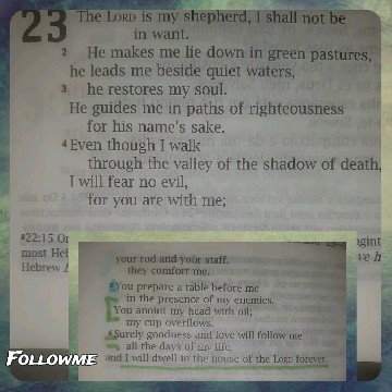 Highlighted Psalm 23 Passage with Text