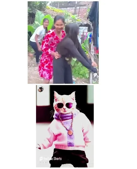 Friends Laughing and Cat in Sweater