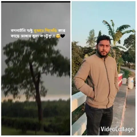 Tree with Bengali Text Overlay