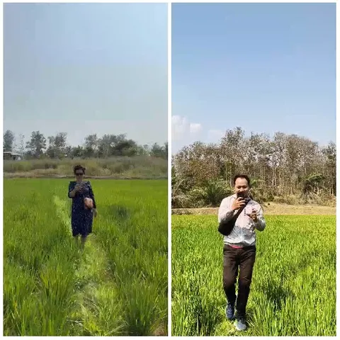 Walking in Green Field with Phones