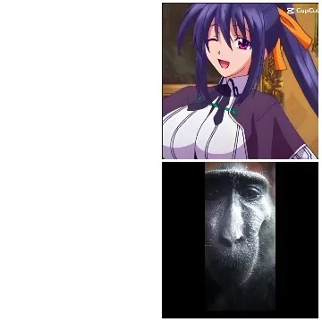 Anime Character and Neutral Monkey