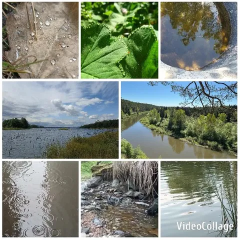 Serene Nature Scenes and Reflections