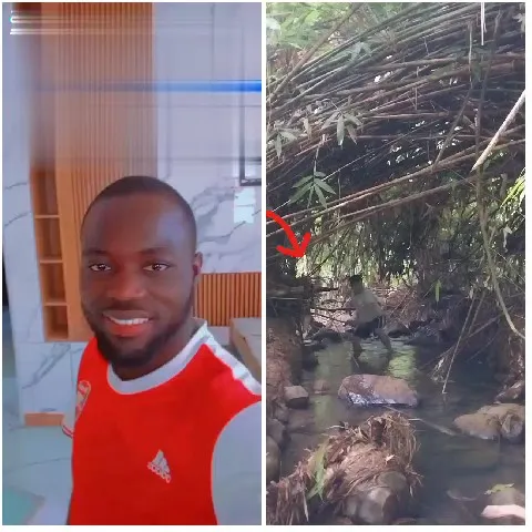 Smiling Man and Nature Crossing