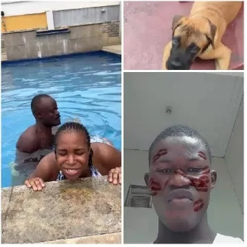 Pool Fun with Dog and Lipstick