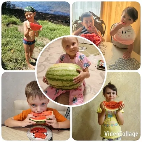 Children Enjoying Watermelon Fun
