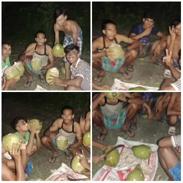 Enjoying Coconuts Outdoors