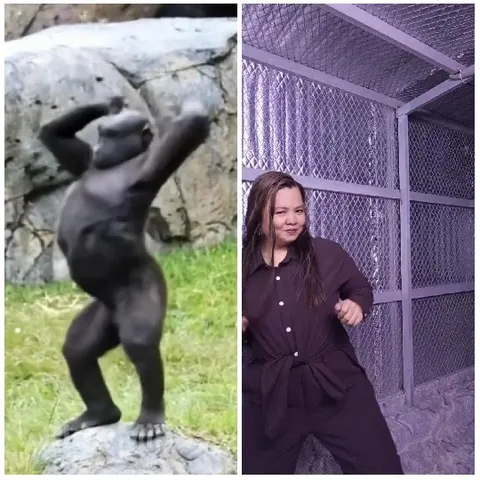 Chimpanzee and Dancing Woman Split