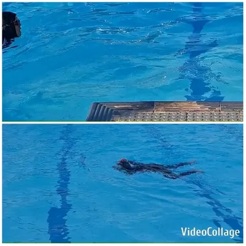 Swimming Pool and Swimmer Underwater