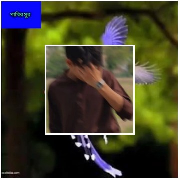 Person with Bird in Outdoor Setting