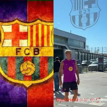 Sports Team Logo and Fan