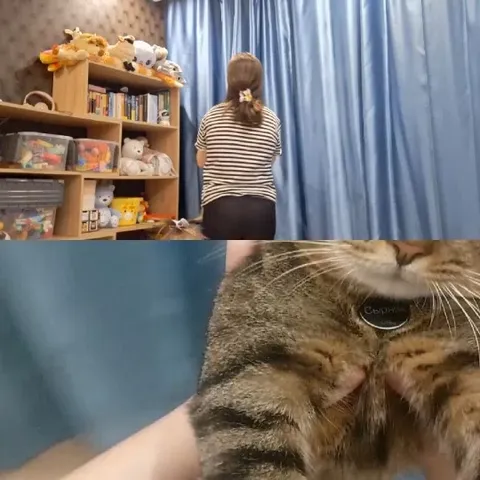Person with Ponytail and Close-up Cat