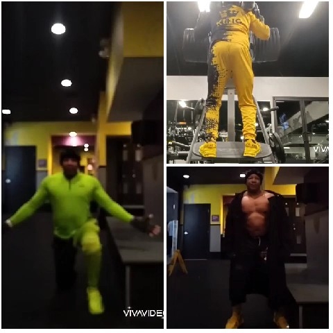 Vibrant Gym Workouts in Action