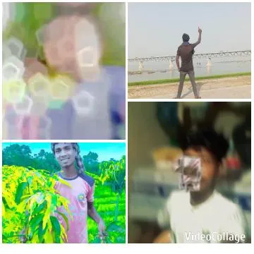 Four Photos with Various Scenes