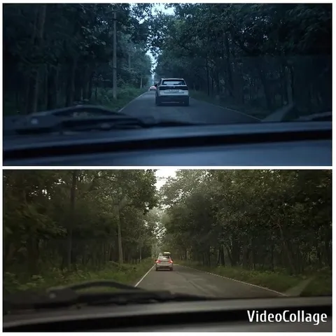 Morning and Evening Road Scenes