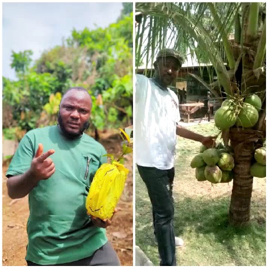 Men with Fruits in Garden Setting