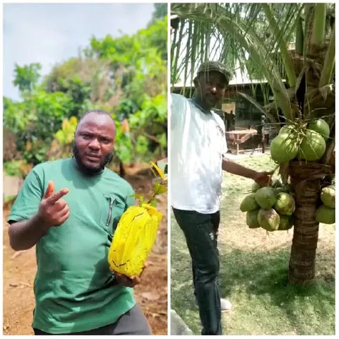 Men with Fruits in Garden Setting