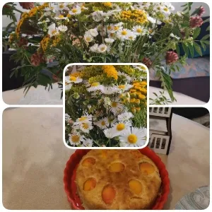 Bouquet of Wildflowers and Cake