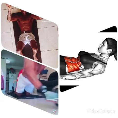 Exercise Routine and Anatomy Study