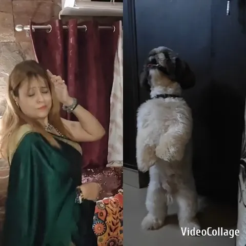 Woman in Traditional Attire with Dog