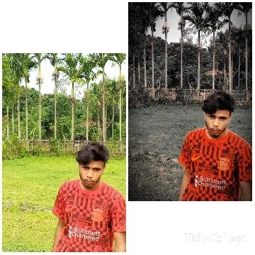 Young Man Posing in Nature