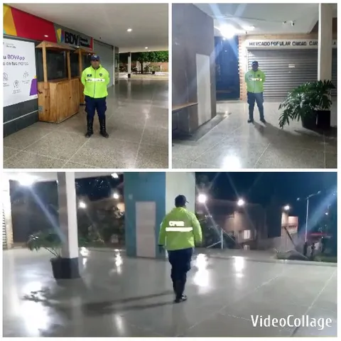 Security Guard in Commercial Area