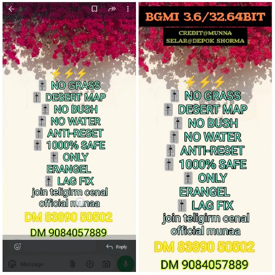 Game Features and Contact Information
