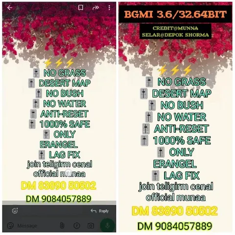 Game Features and Contact Information