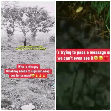 Black and White Tree with Text