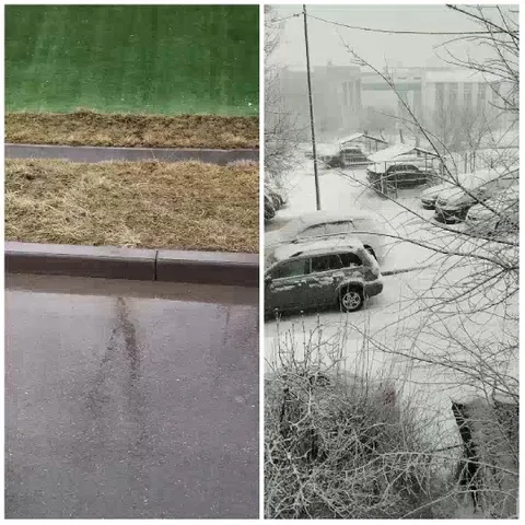 Road in Summer and Winter