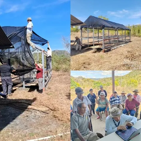 Installing Net in Agricultural Setting