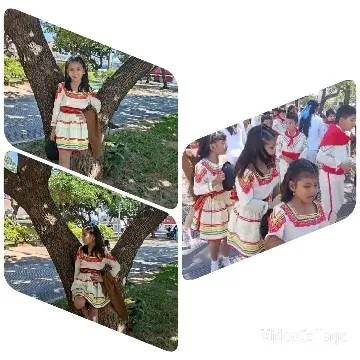 Traditional Attire in Cultural Parade