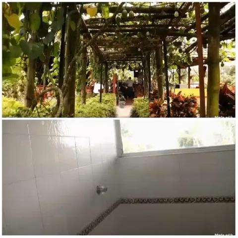 Lush Walkway and Bathroom View