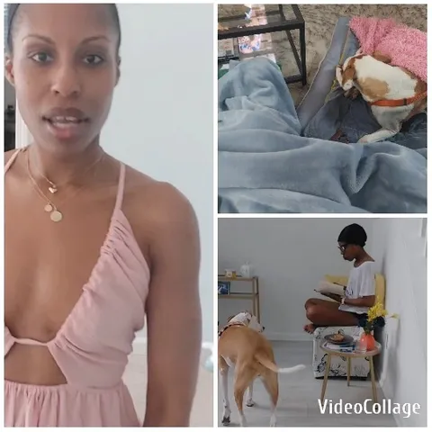 Woman in Pink Dress and Dog
