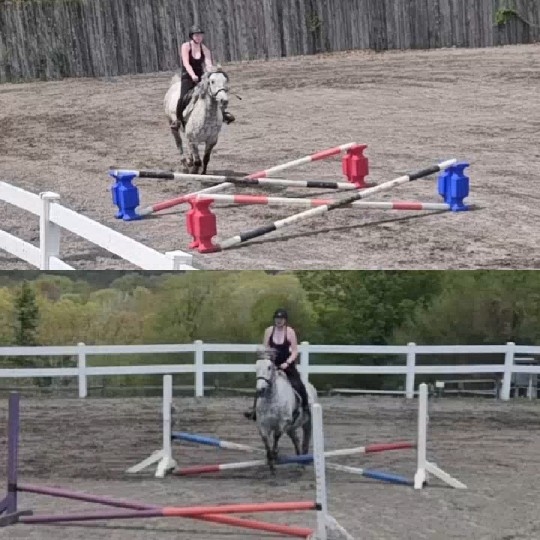Horse Riding in Equestrian Arena