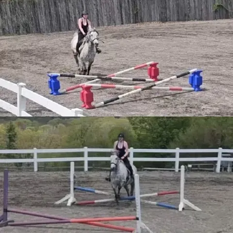 Horse Riding in Equestrian Arena