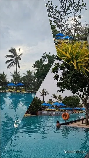 Swimming Pool Area with Palm Trees